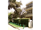 Location of Road Eighty Four, Maadi