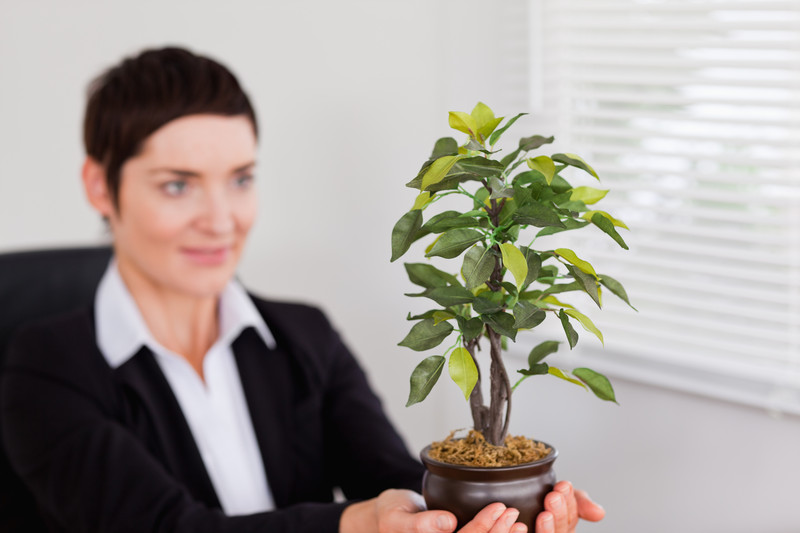 Virtual Office Greenery: Choosing the Best Plants for Your Office Space